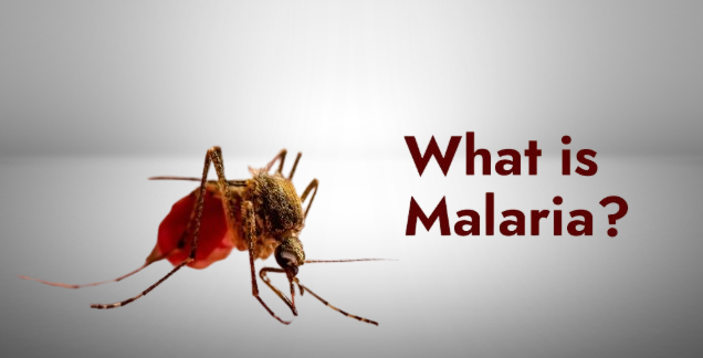 natural treatment for malaria